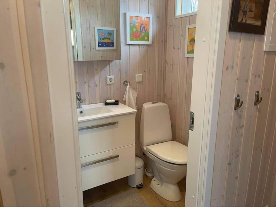 Nice Whole Year Cottage Bythingvallavatn Veithilundur Екстер'єр фото
